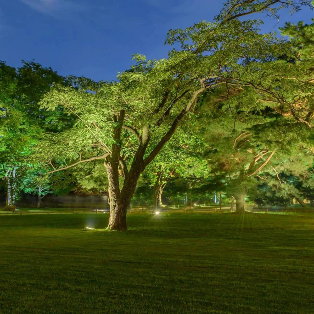 Ultralight LED In-Ground Light (BR7713) - Image 12