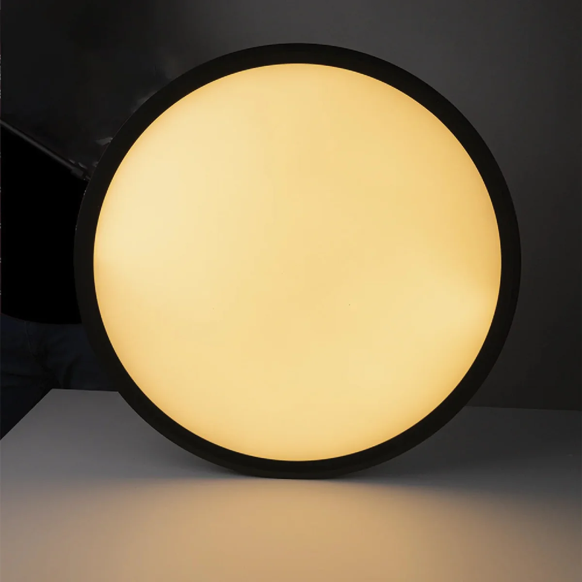 LED Pendant Light (BR6129) – Modern Suspended Decorative Ring Light with High CRI, Osram LED Chip, and Opal Diffuser - Image 11