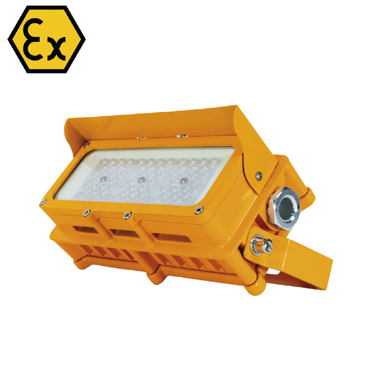 Ultralight Explosion Proof Lamp 30W IP66 - Industrial Safety Lighting (SM8185)