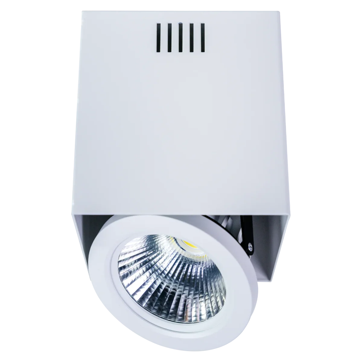 Ultralight Surface Mounted Frame AR111 - Rotatable Light Fixture (C7655)