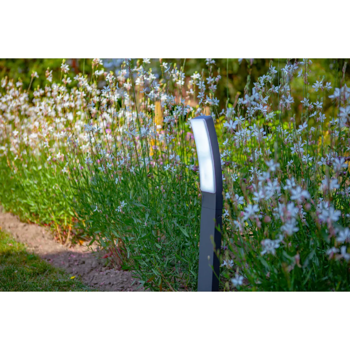 Ultralight Led Pole Light (FYL0088) - Image 2