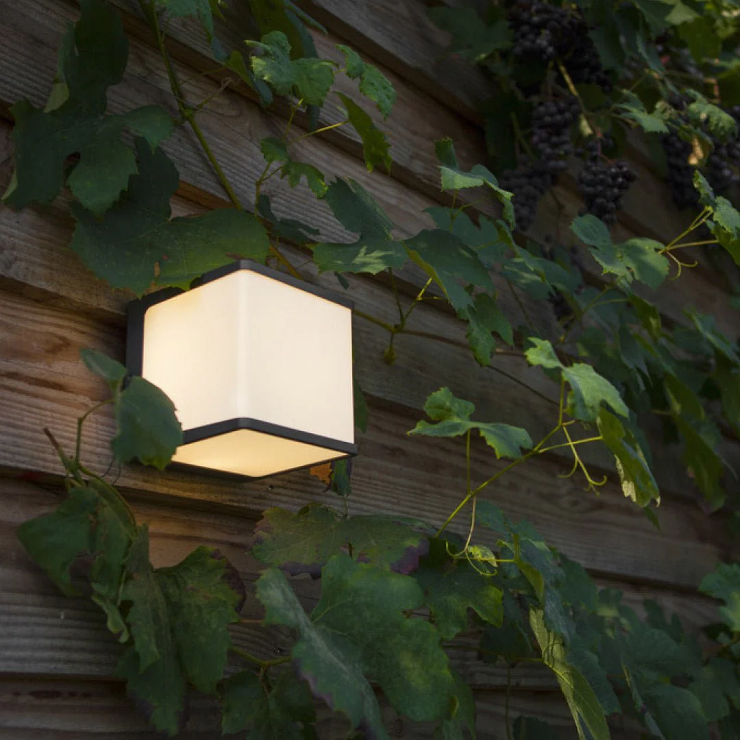 Ultralight Modern Wall Light Frame (52131) - Image 5
